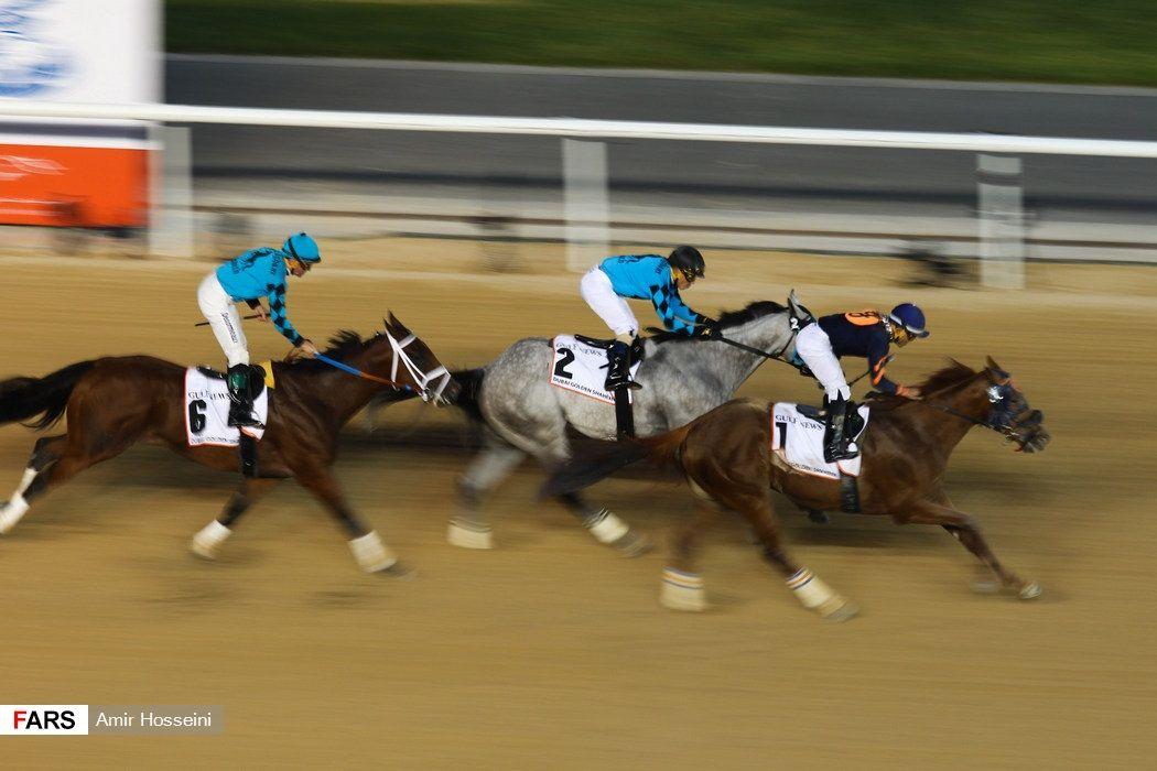 Golden Horses