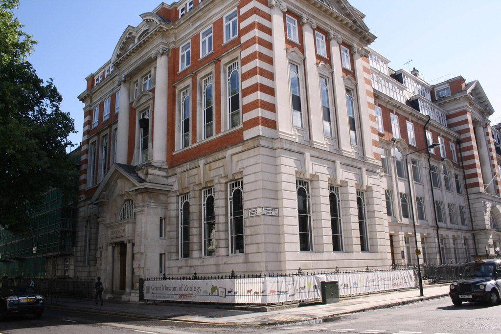 Grant Museum of Zoology
